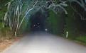 20 Inch LED Light Bar Single Row Straight Combo Beam Lightforce image 9