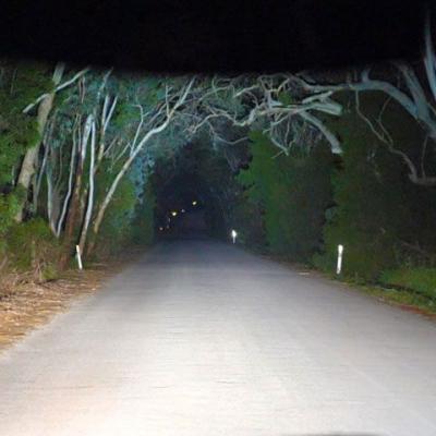 20 Inch LED Light Bar Single Row Straight Combo Beam Lightforce image 9